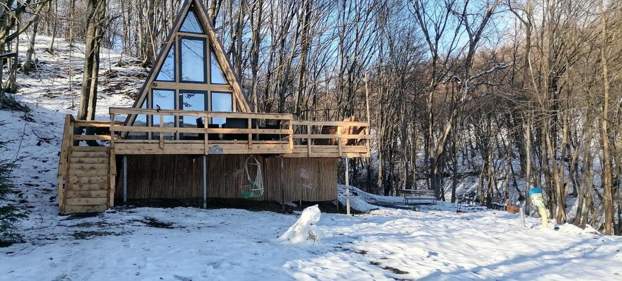 Cabanaaframe Intreaga Proprietate Curtea de Argeş Exterior foto