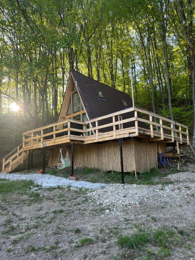 Cabanaaframe Intreaga Proprietate Curtea de Argeş Exterior foto